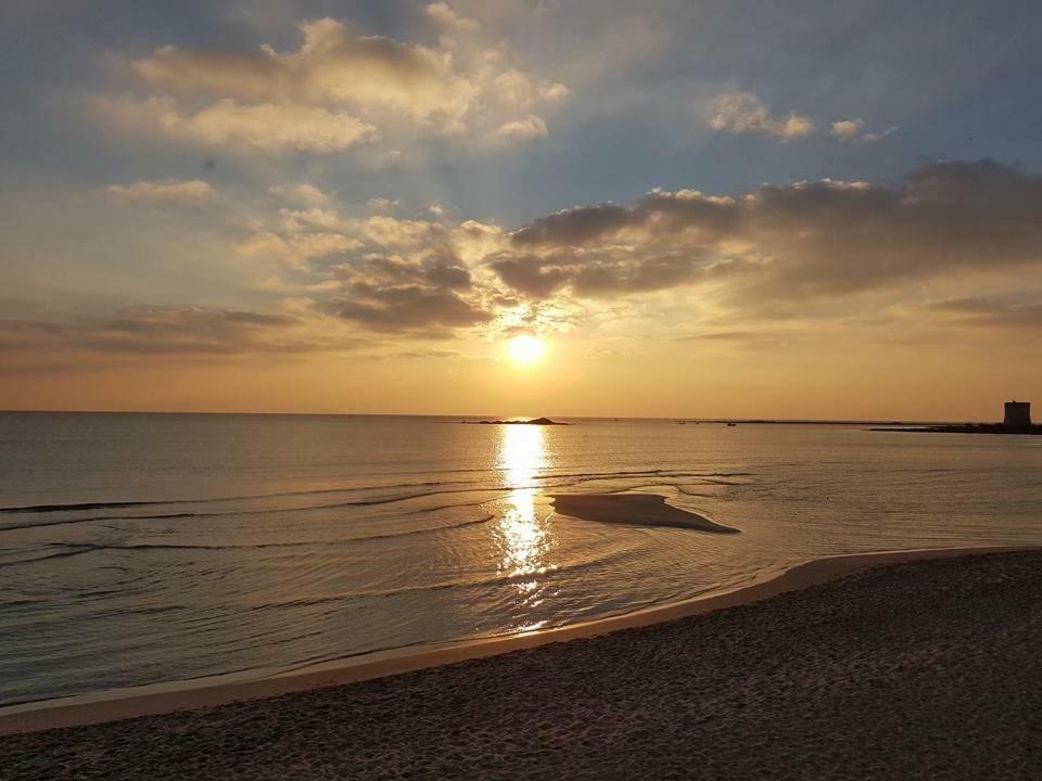Vev Salento Bed & Breakfast