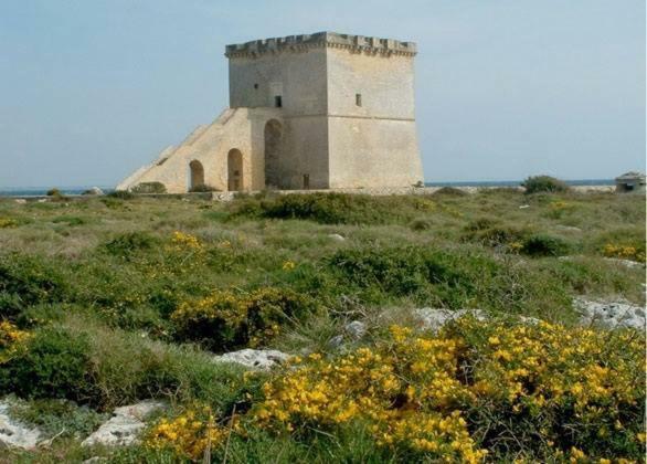 Vev Salento 3*
